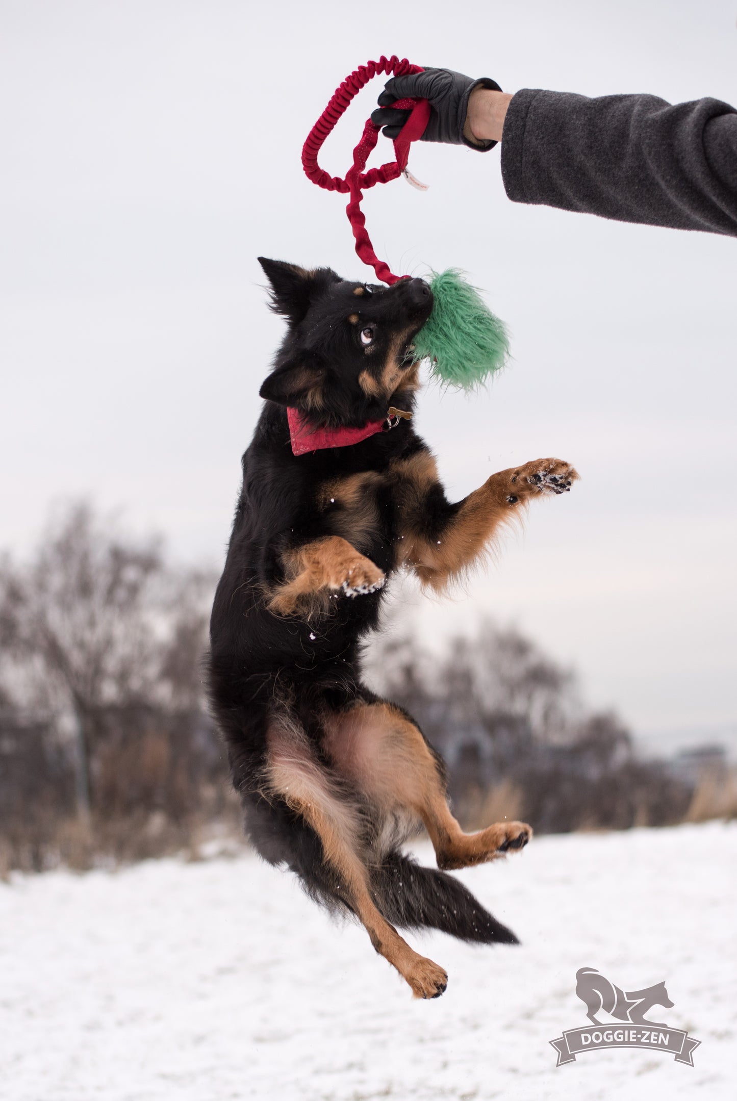 Doggie-Zen Knitrende godbitlomme