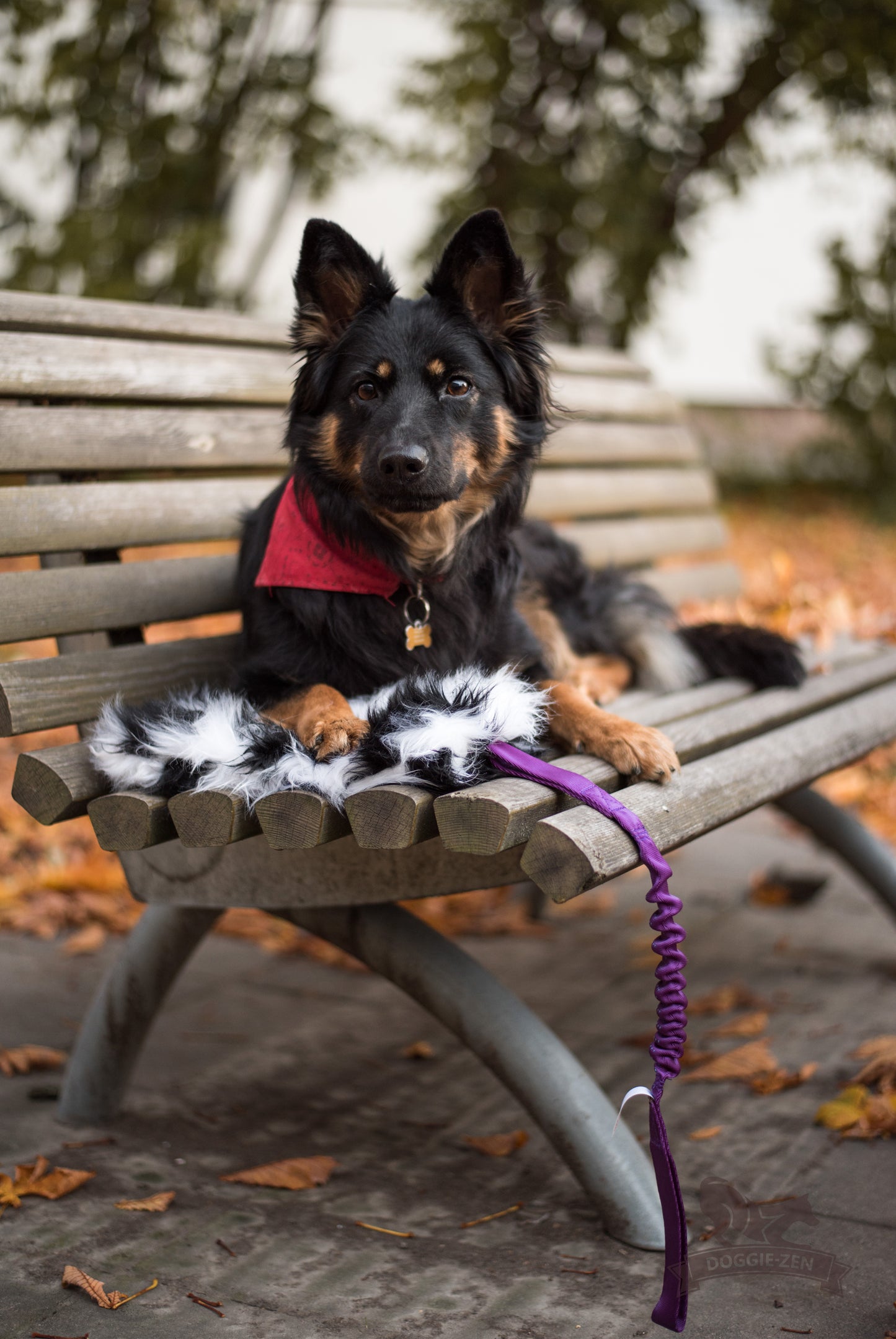 Doggie-Zen Knitrende godbitlomme