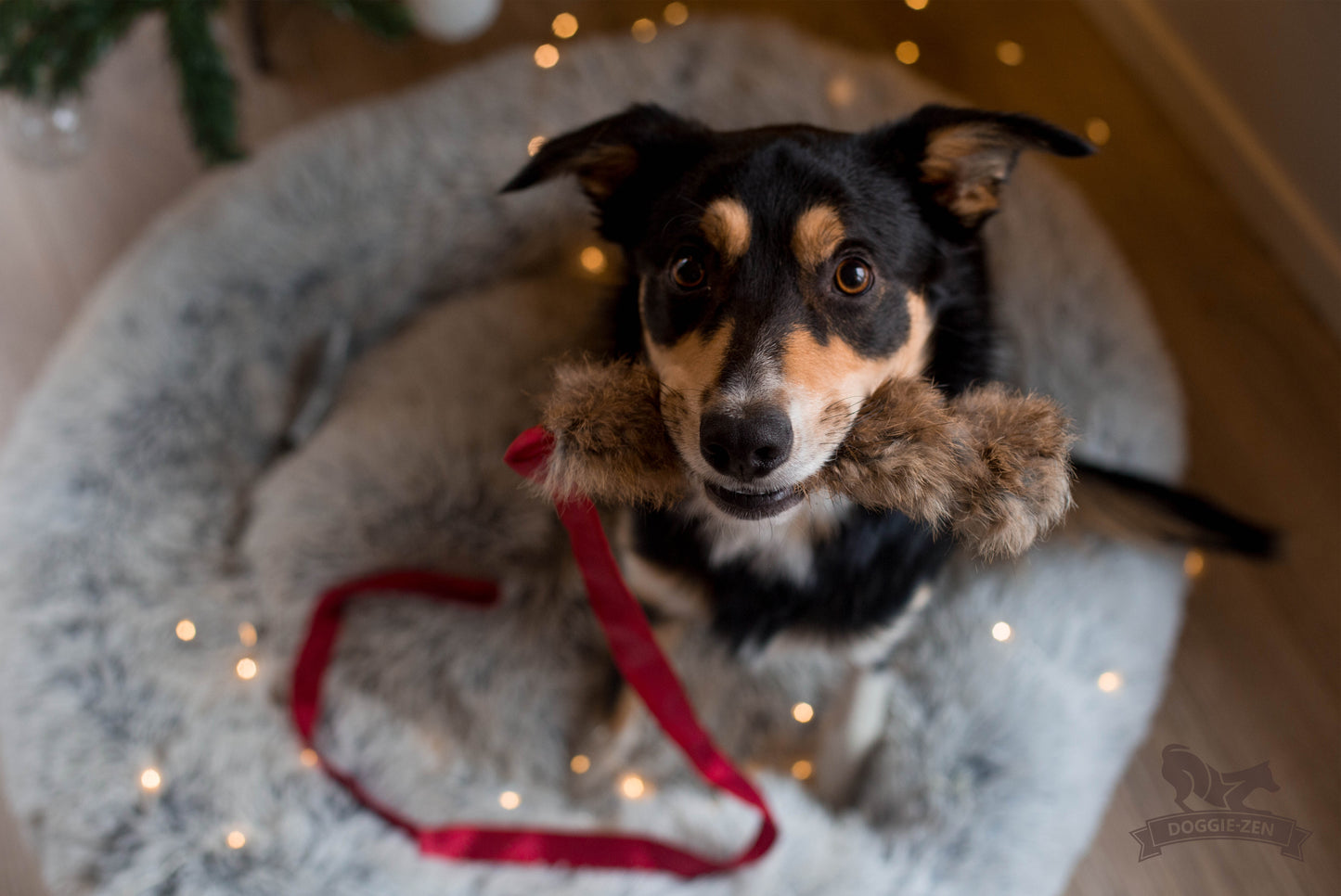 Doggie-Zen Draleke med langt tau pels og strikk