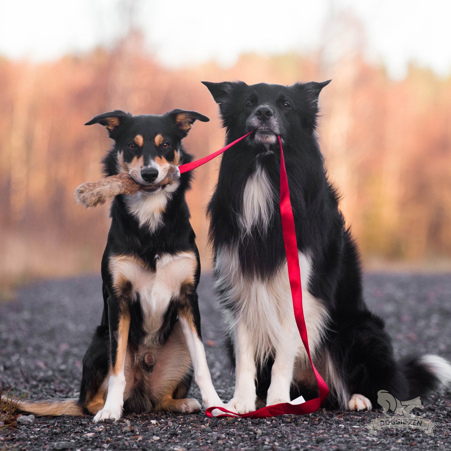 Doggie-Zen Draleke med langt tau pels og strikk
