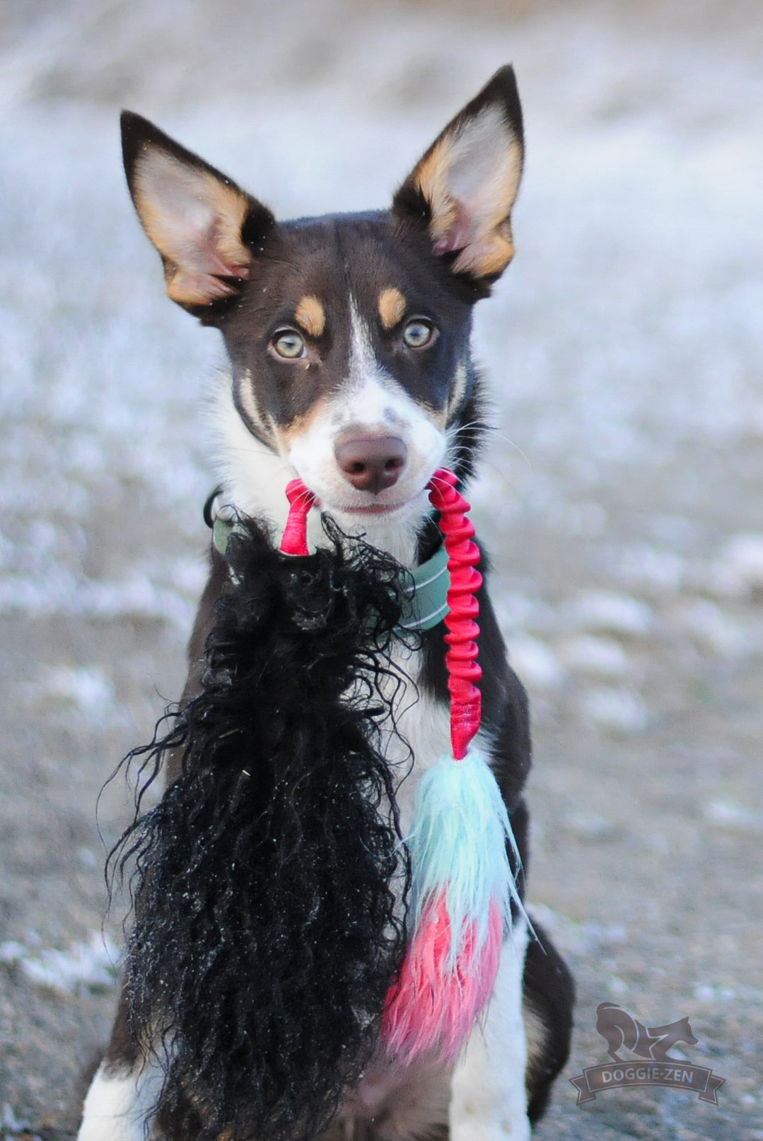 Doggie-Zen Saueskinnsrakett