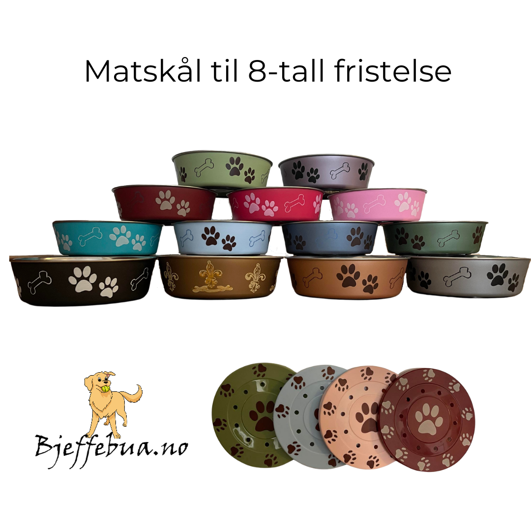 Matskål til rallylydighet
