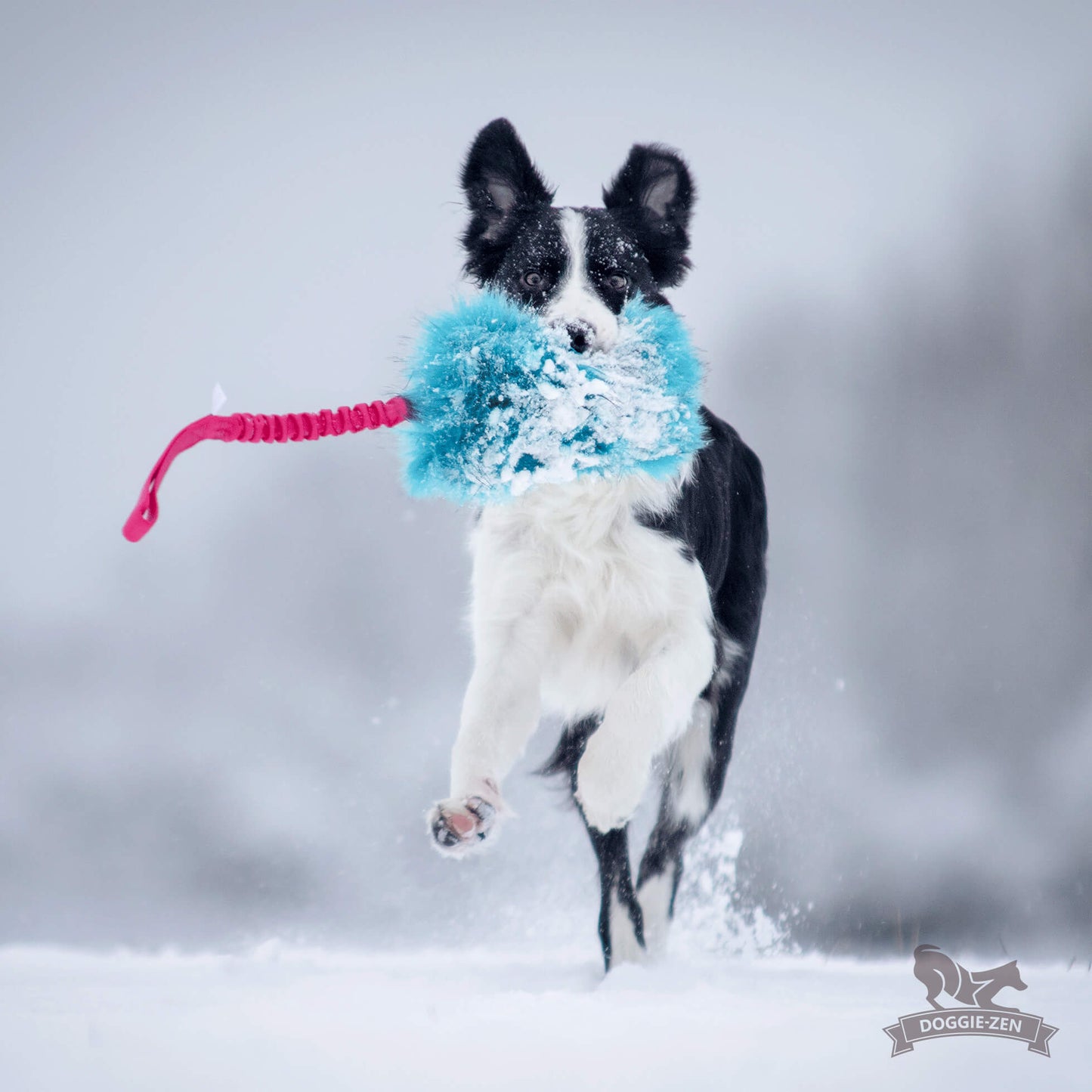 Doggie-Zen Knitrende godbitlomme