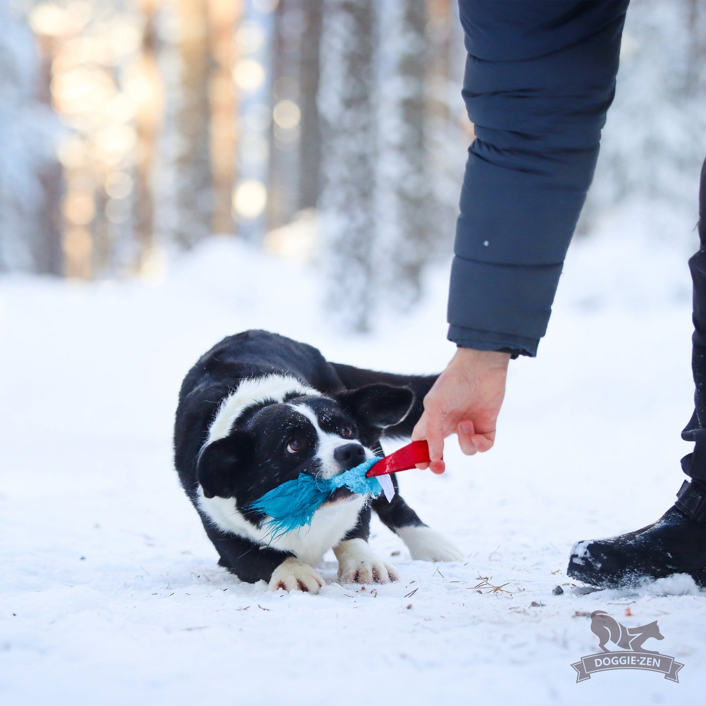 Doggie-Zen Lommeleke med pip