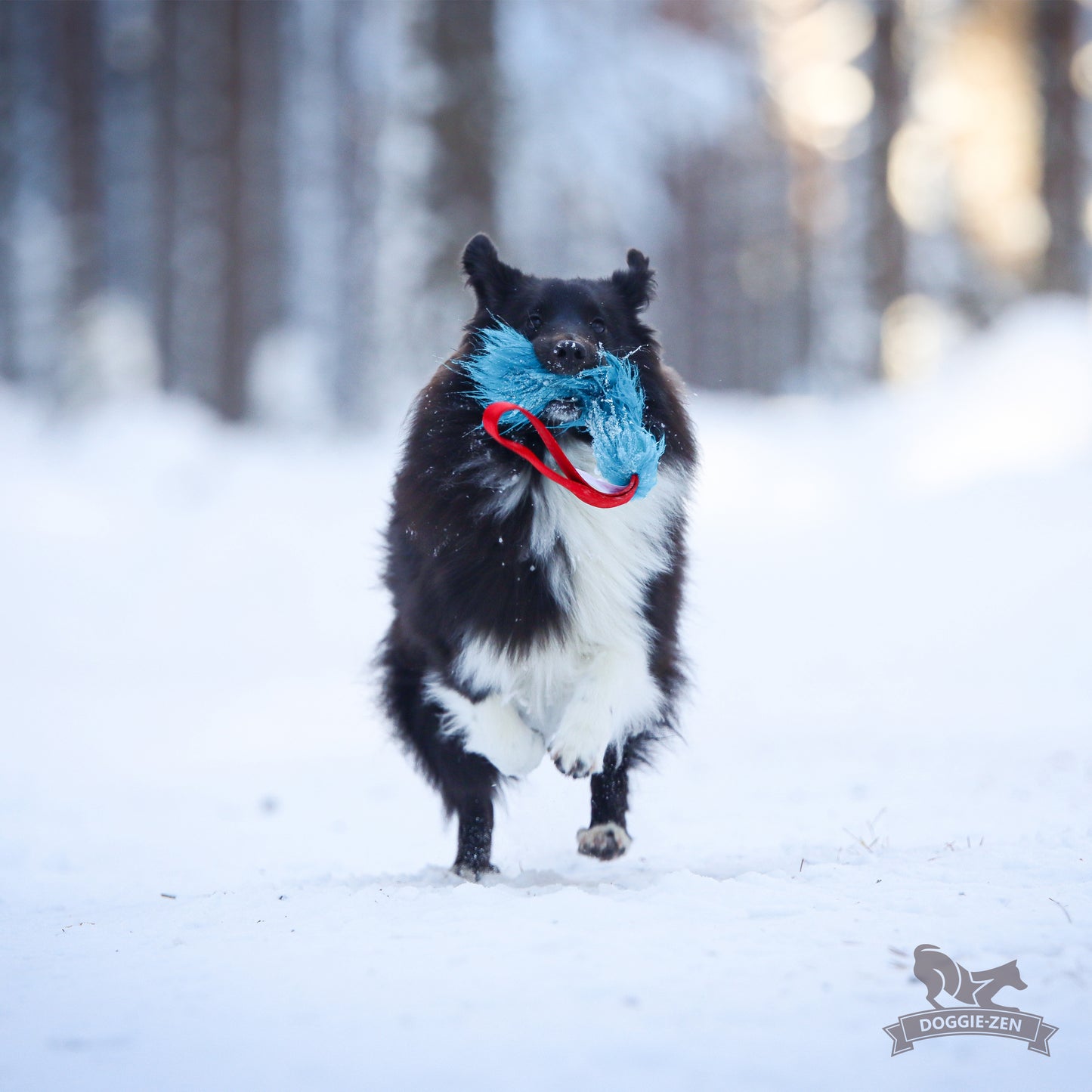 Doggie-Zen Lommeleke med pip
