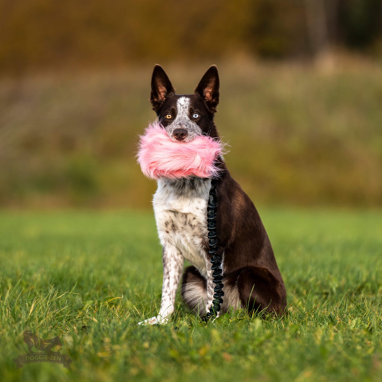 Doggie-Zen Belønningslomme med langt tau