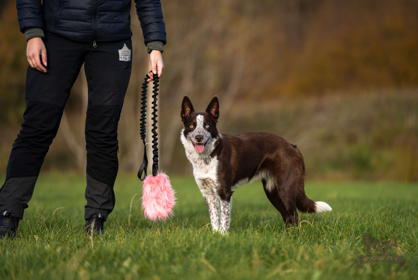 Doggie-Zen Belønningslomme med langt tau