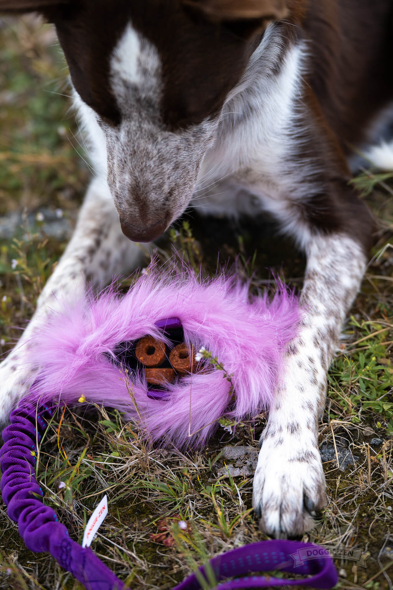 Doggie-Zen Knitrende godbitlomme