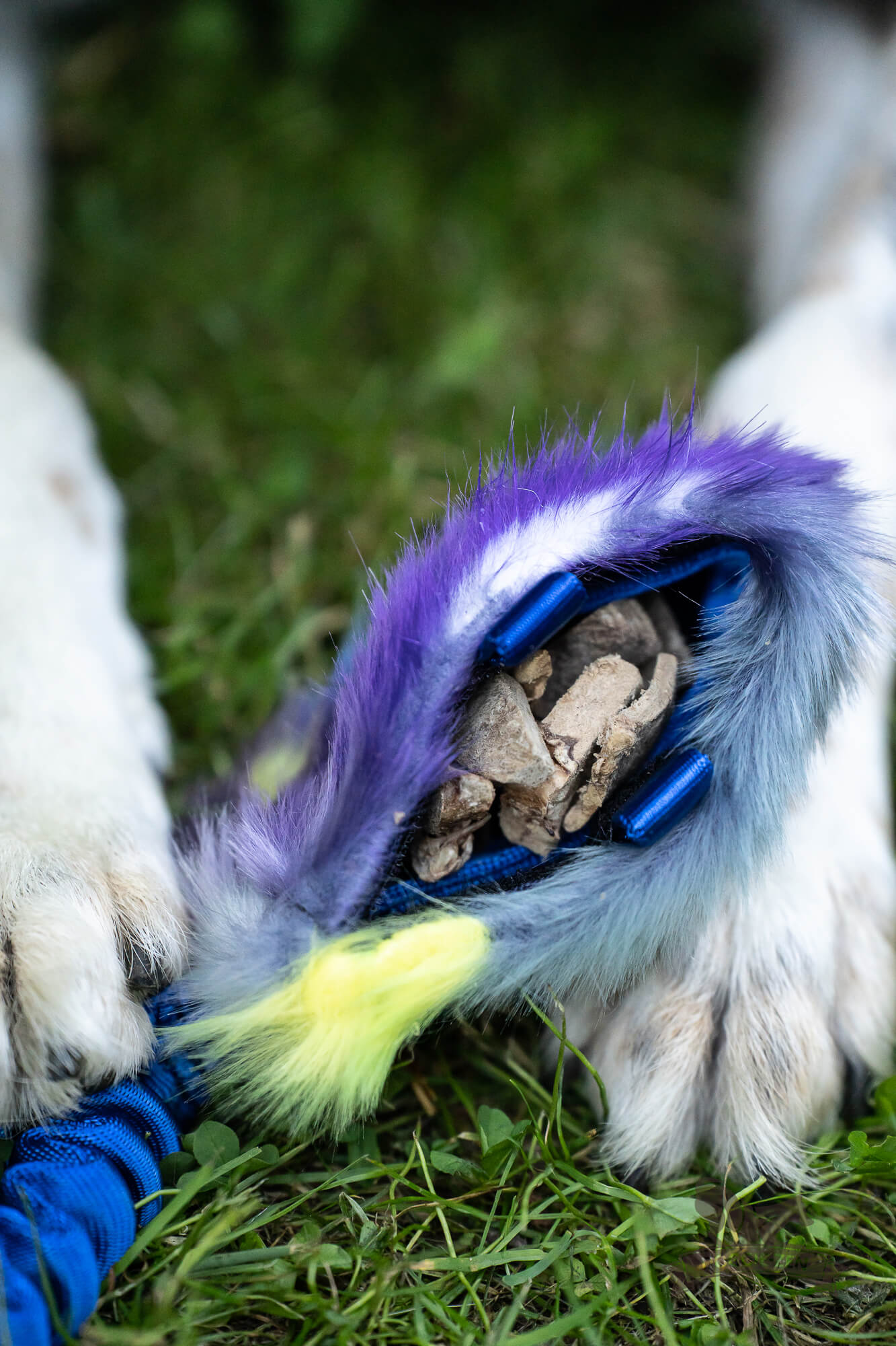 Doggie-Zen Den Lille Godbitposen