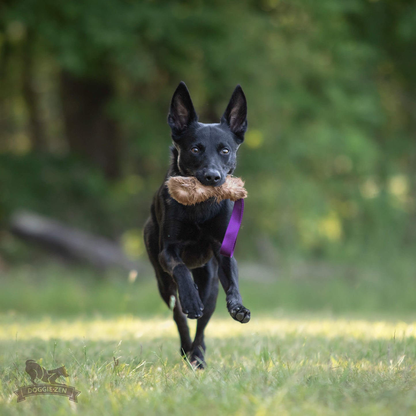 Doggie-Zen Lommeleke med pels