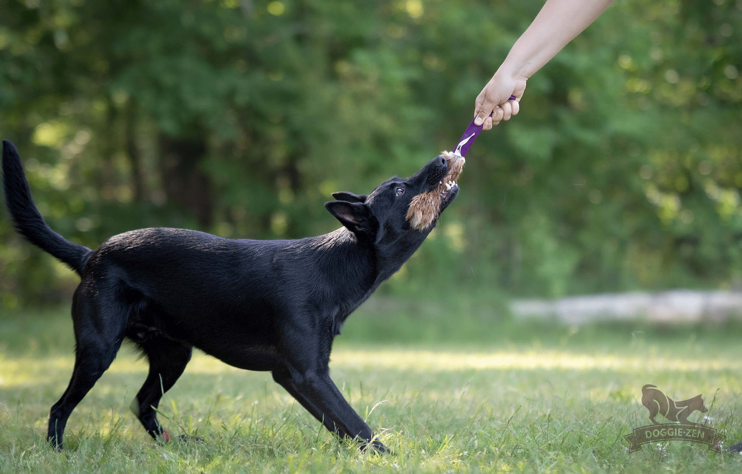 Doggie-Zen Lommeleke med pels
