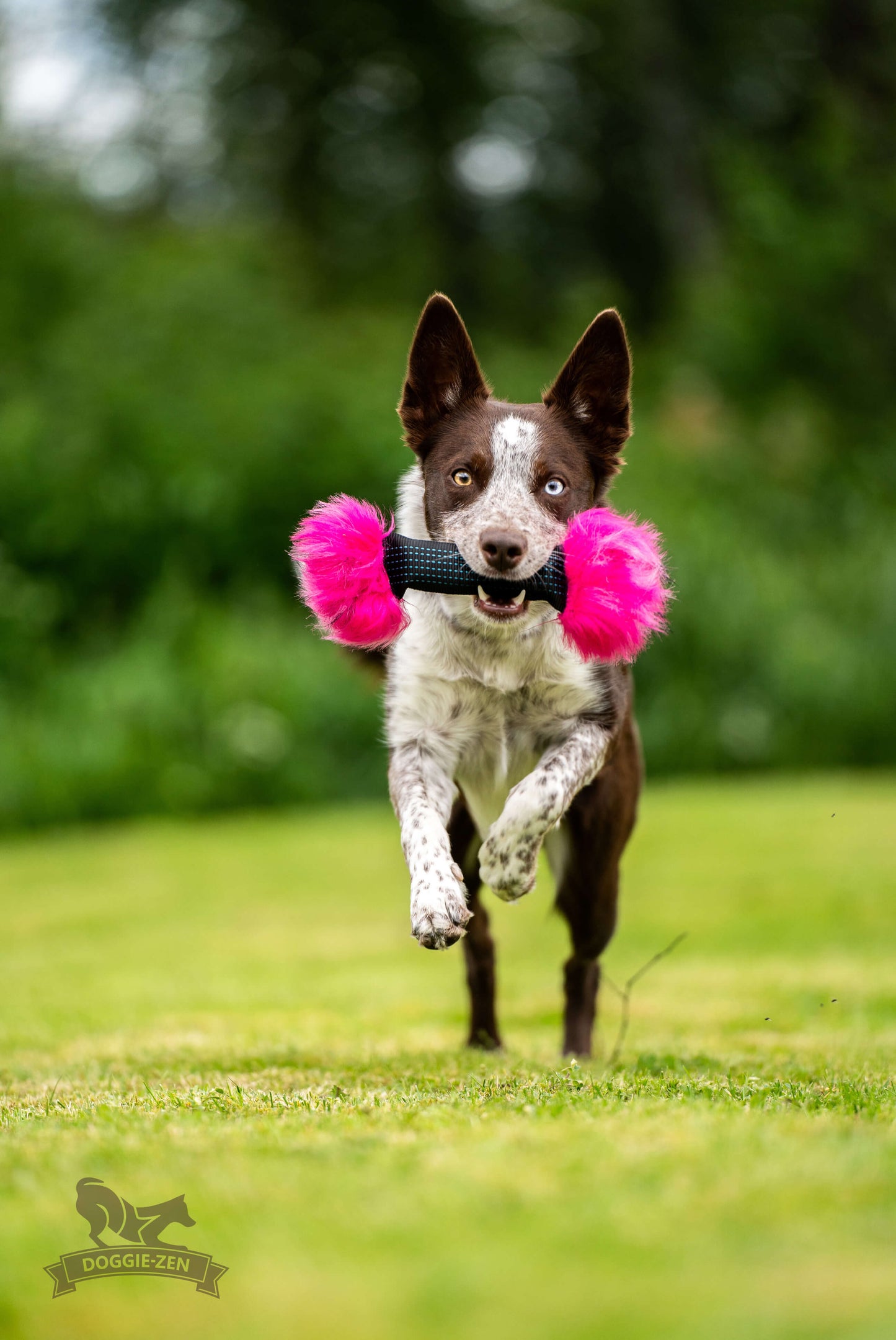 Doggie-Zen Pipkaramell