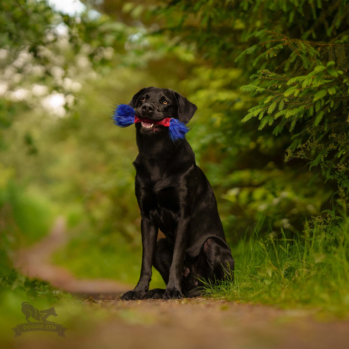 Doggie-Zen Pipkaramell