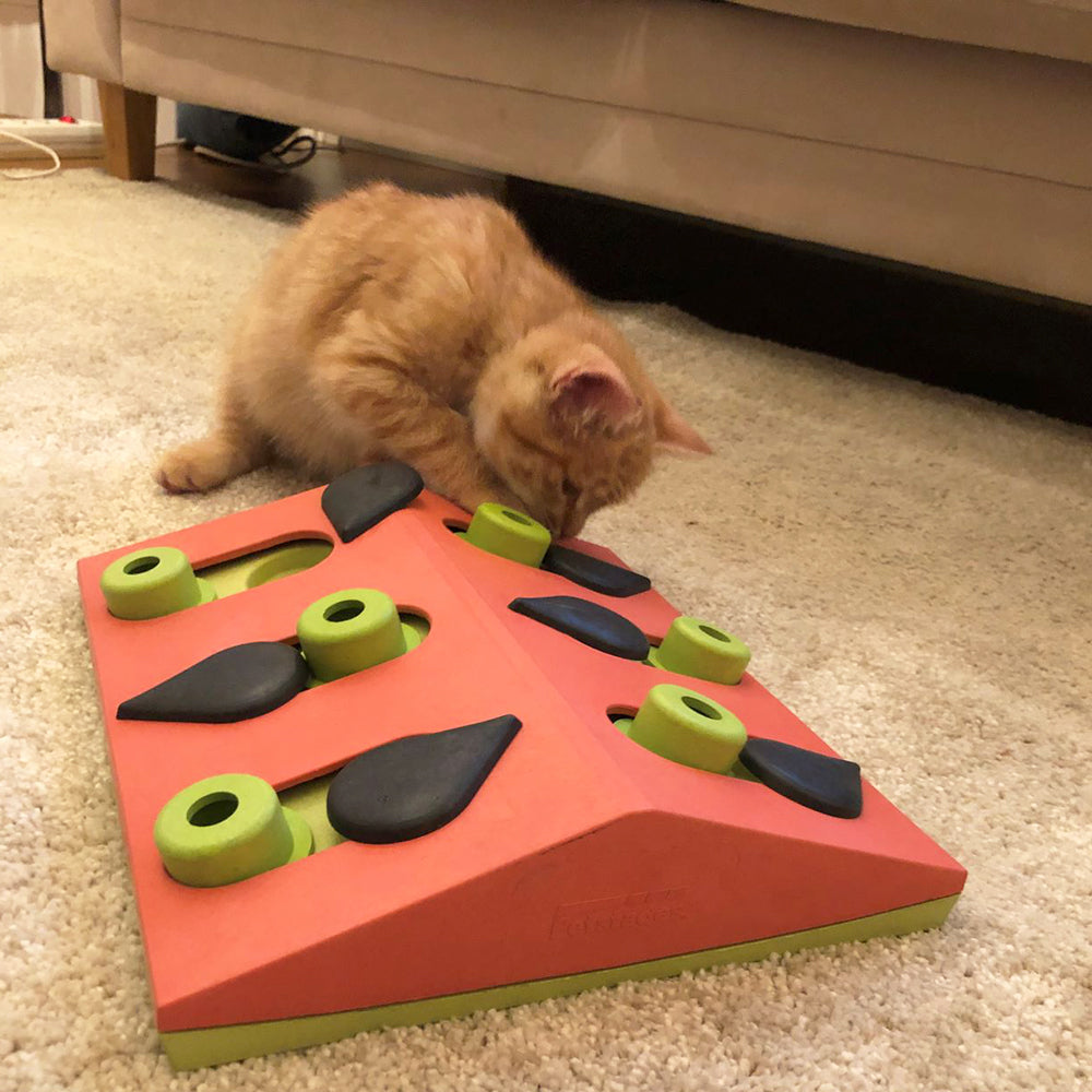 Cat Melon Madness - Nina Ottosson