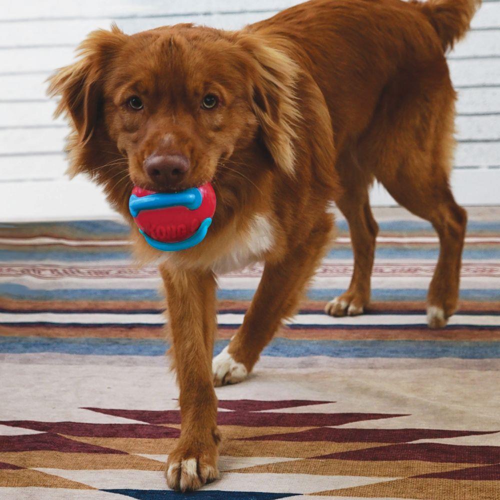 Kong Jaxx Brights Ball with Rope