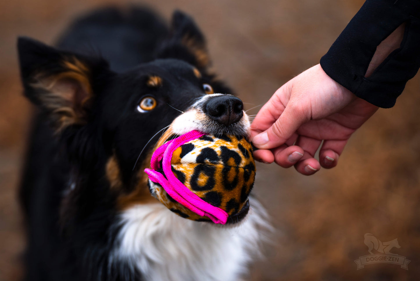 Doggie-Zen Belønningsball