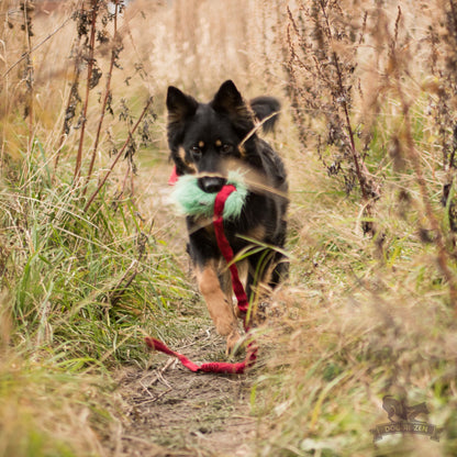 Doggie-Zen Belønningslomme med langt tau