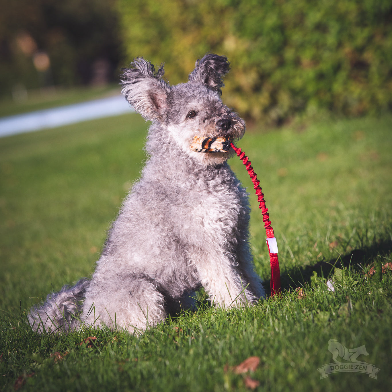 Doggie-Zen Knitrende godbitlomme