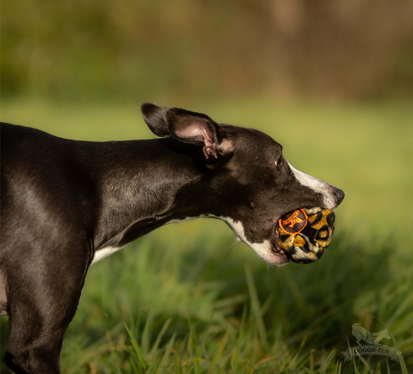 Doggie-Zen Belønningsball