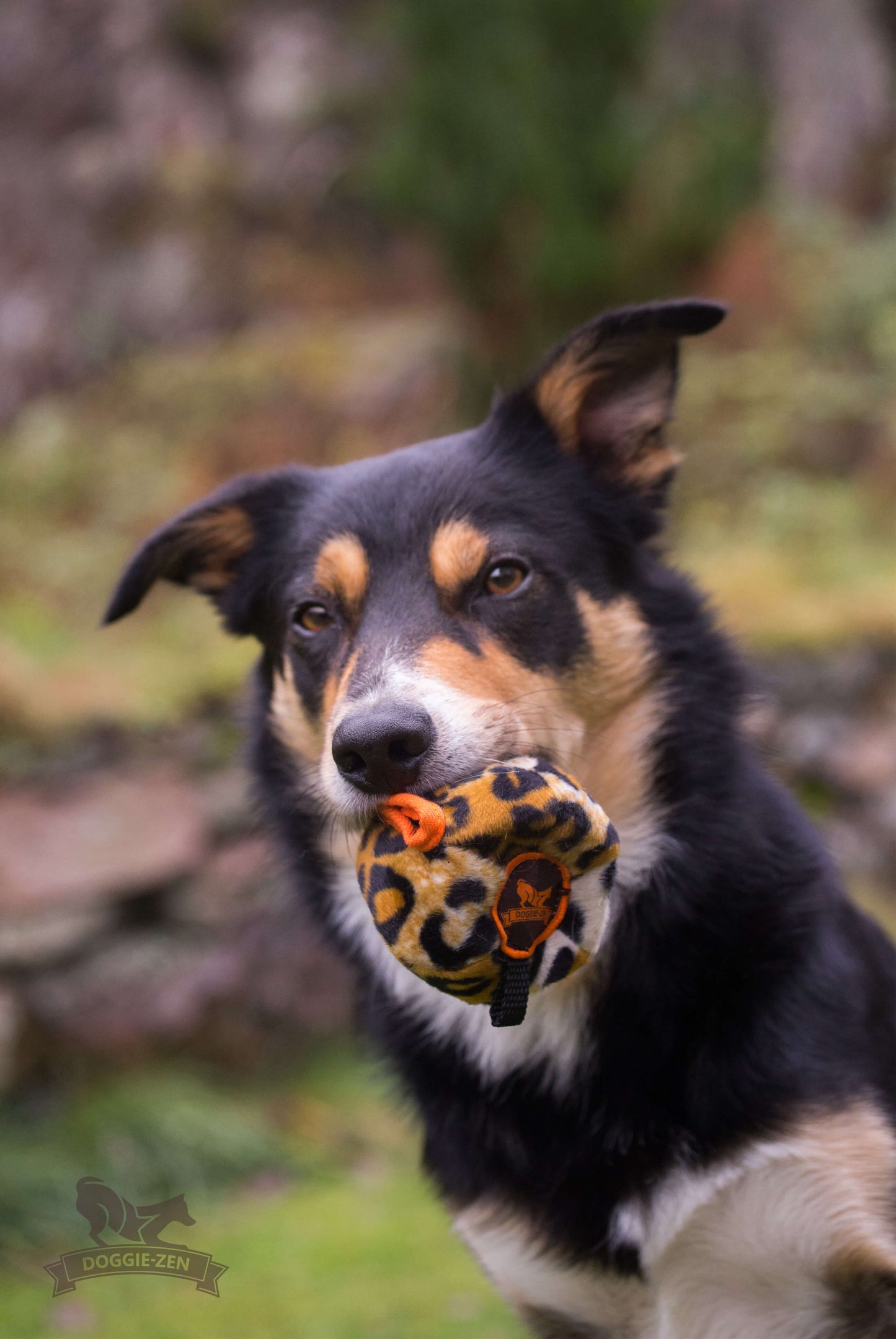 Doggie-Zen Belønningsball