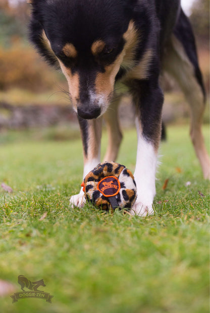 Doggie-Zen Belønningsball