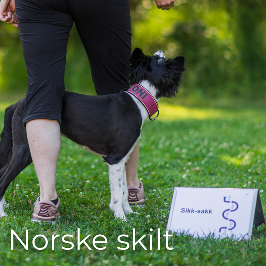 Norske skilt