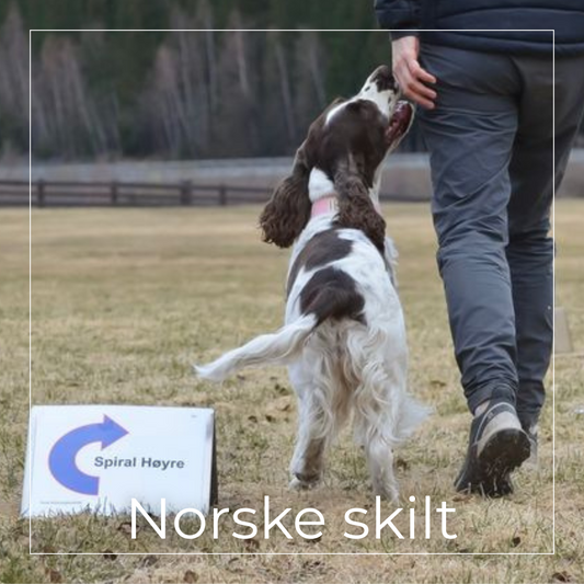 Norske skilt