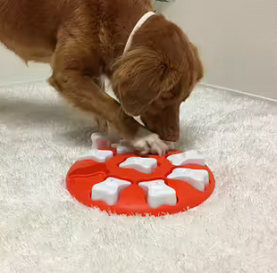 Nina Ottosson DOG SMART