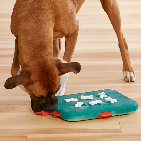 Nina Ottosson DOG CASINO