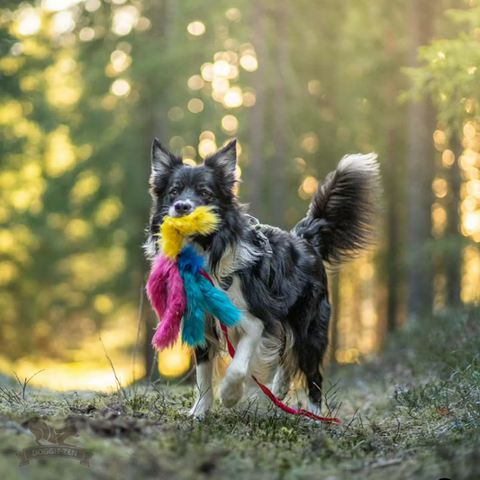 Doggie-Zen Blekksprut 5 tentakler
