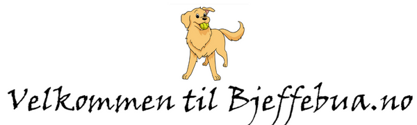 Bjeffebua