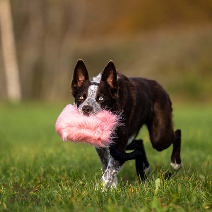 Doggie-Zen Belønningslomme med langt tau