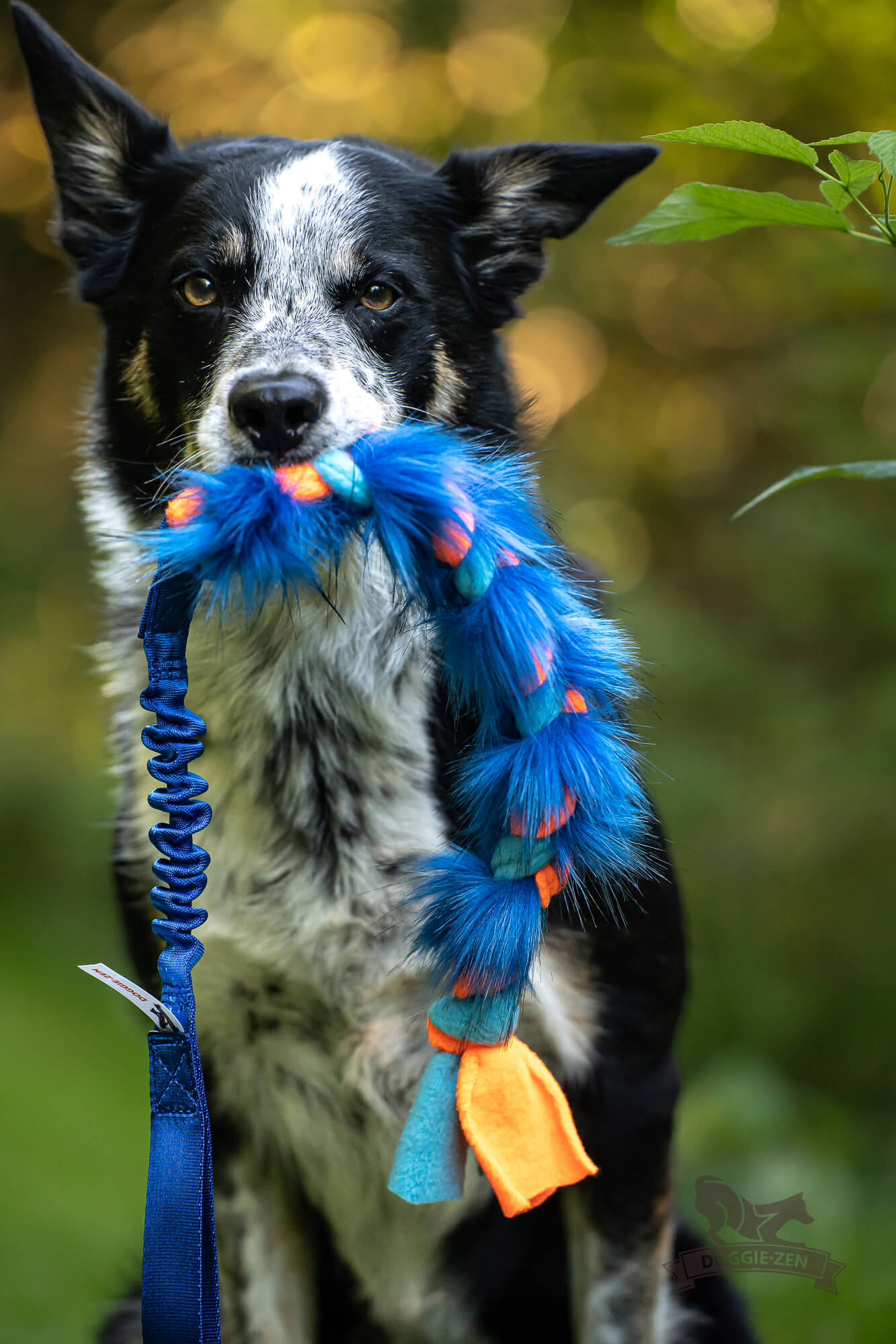 Doggie-Zen Flette