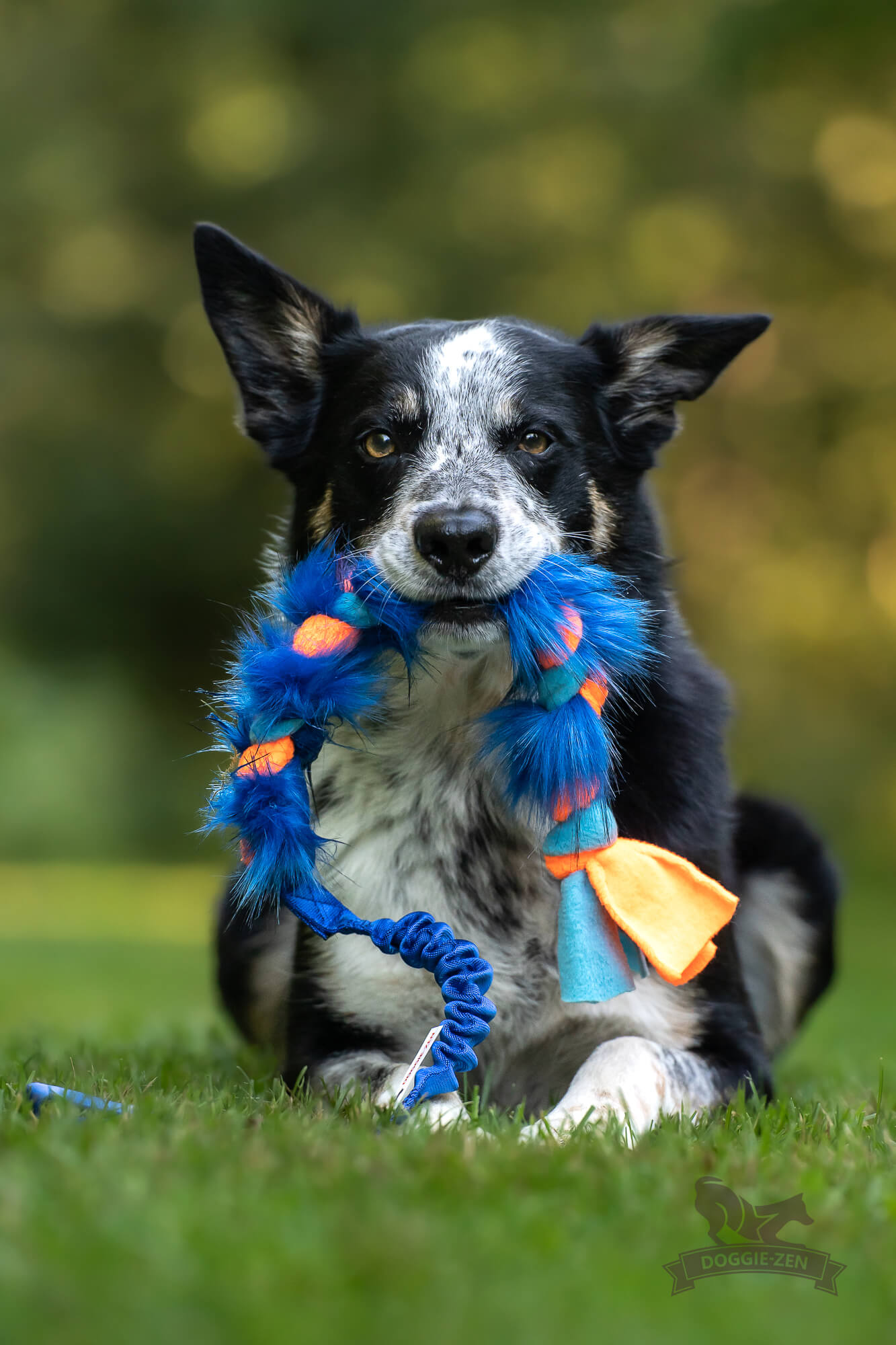 Doggie-Zen Flette