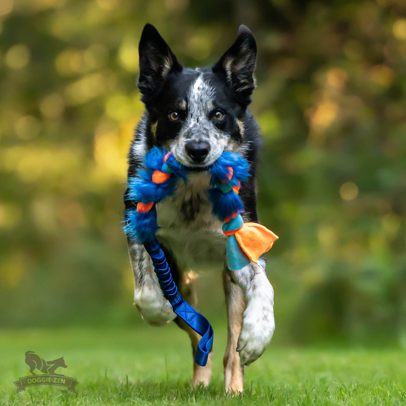 Doggie-Zen Flette