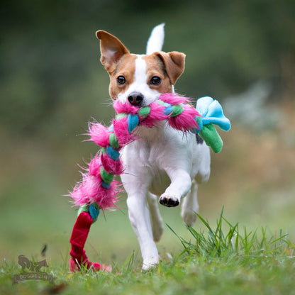 Doggie-Zen Flette