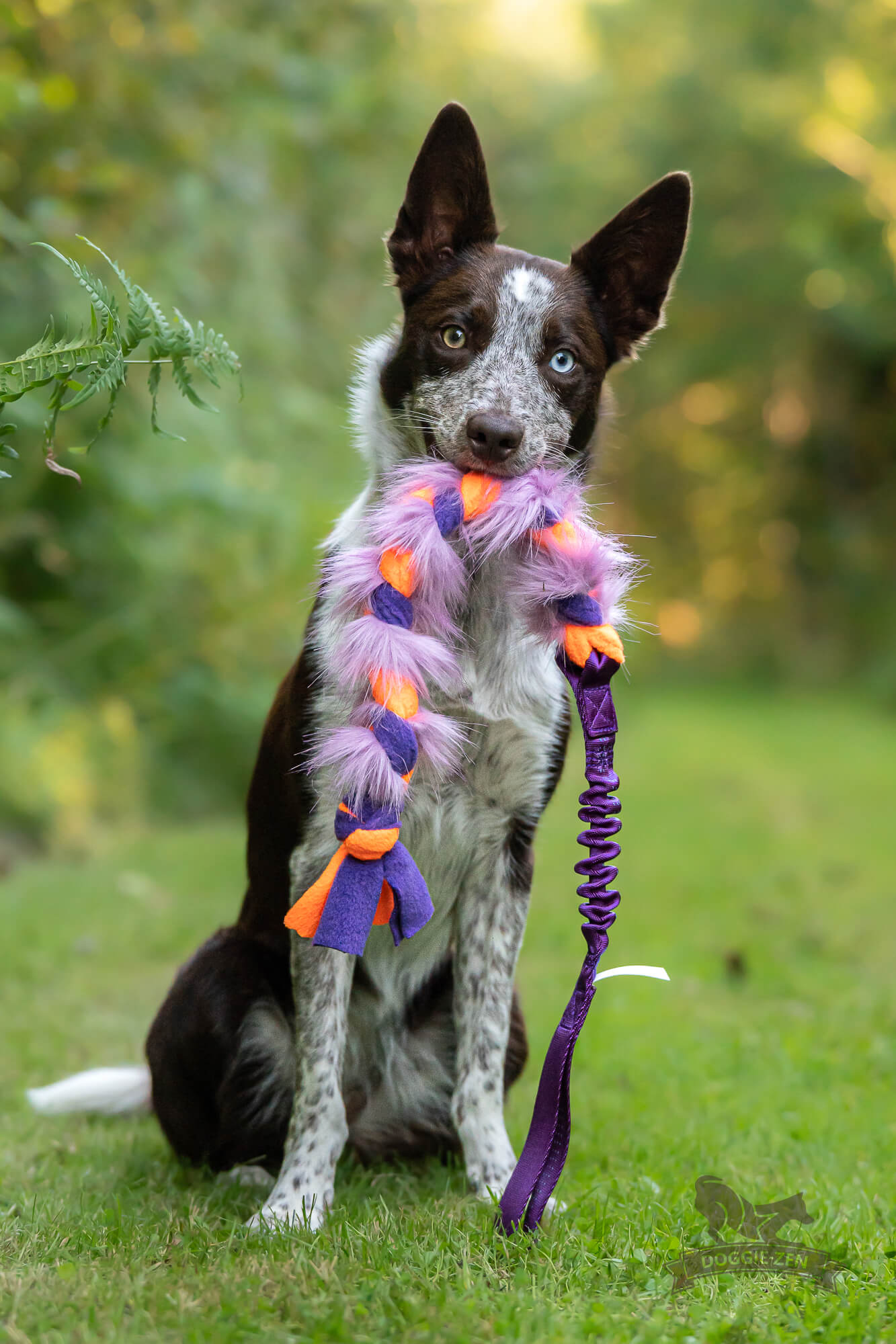 Doggie-Zen Flette