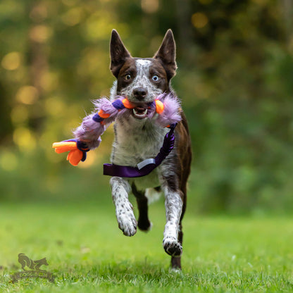 Doggie-Zen Flette