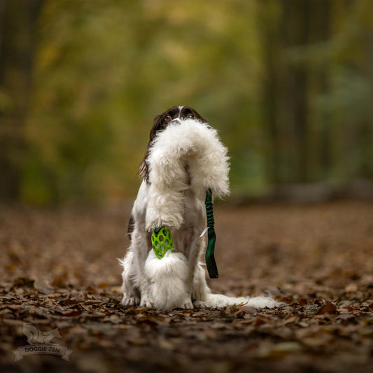 Doggie-Zen JW Kometjager med sauepels