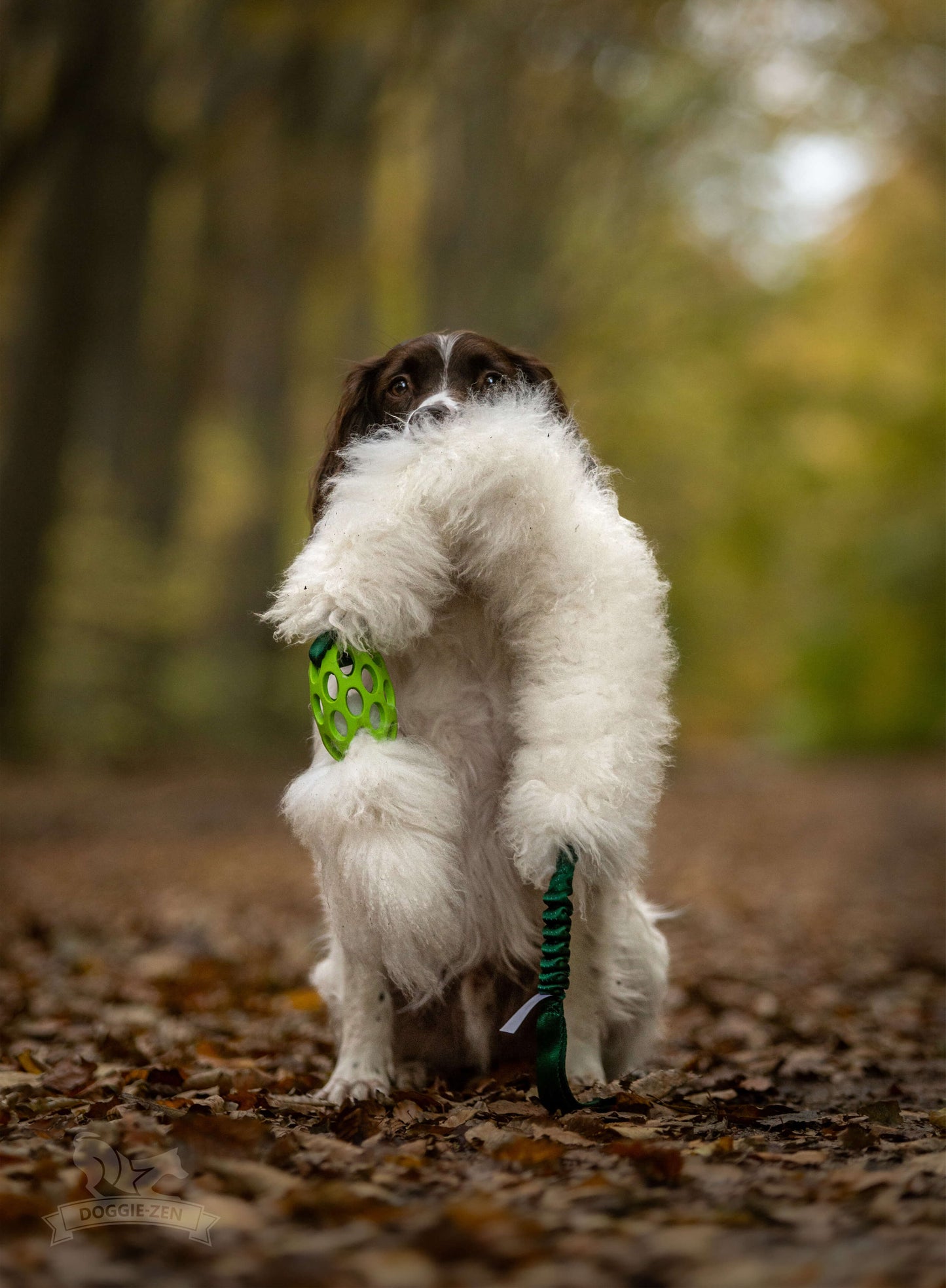 Doggie-Zen JW Kometjager med sauepels