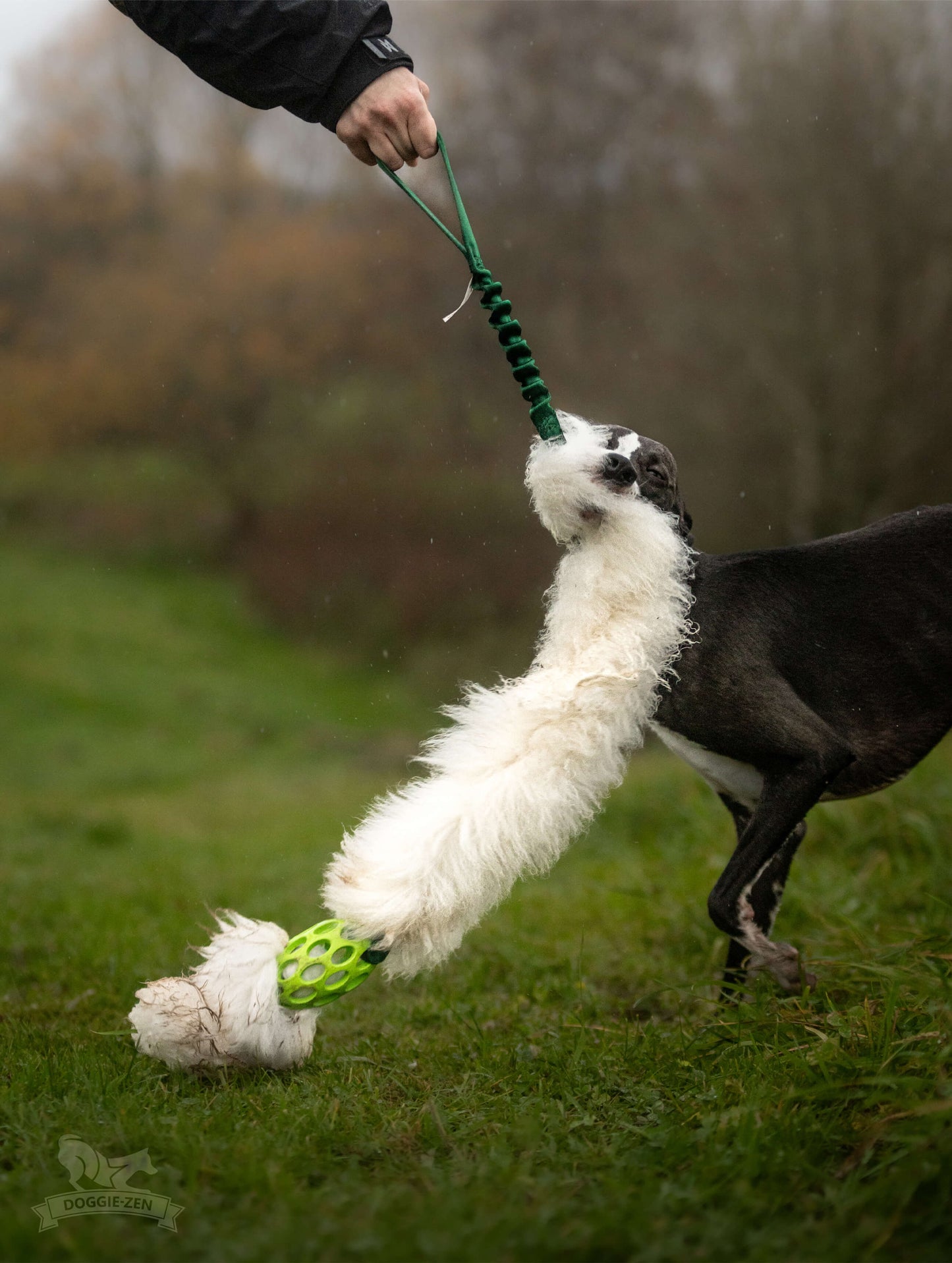 Doggie-Zen JW Kometjager med sauepels