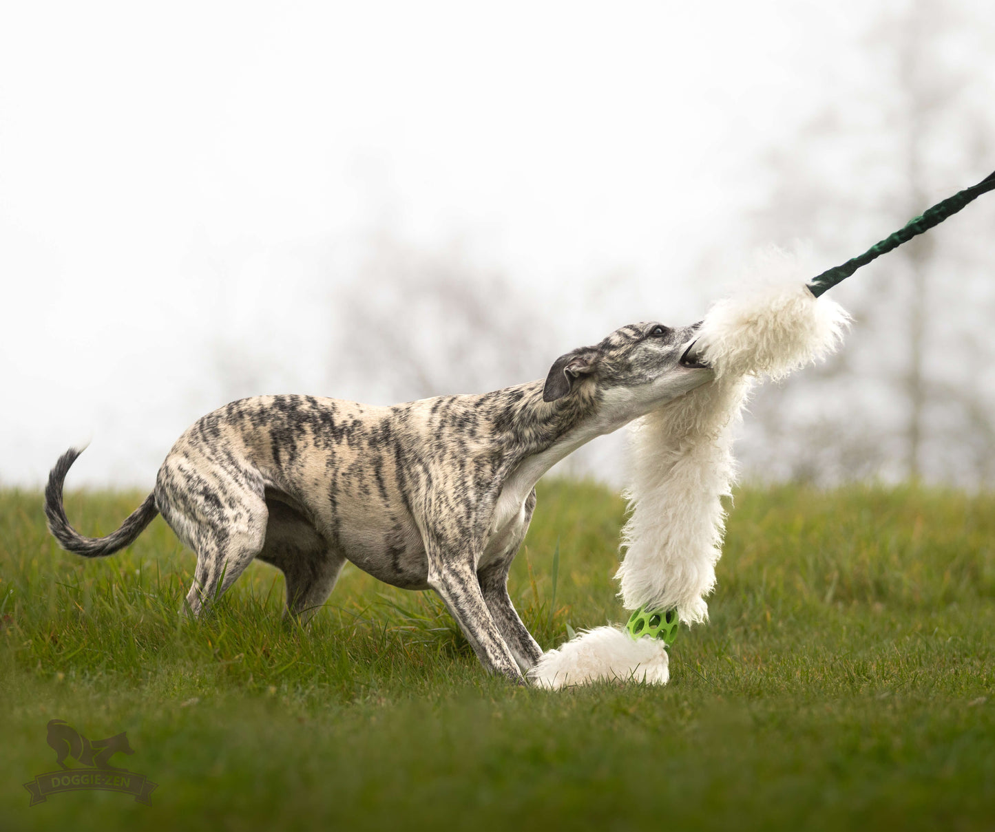 Doggie-Zen JW Kometjager med sauepels