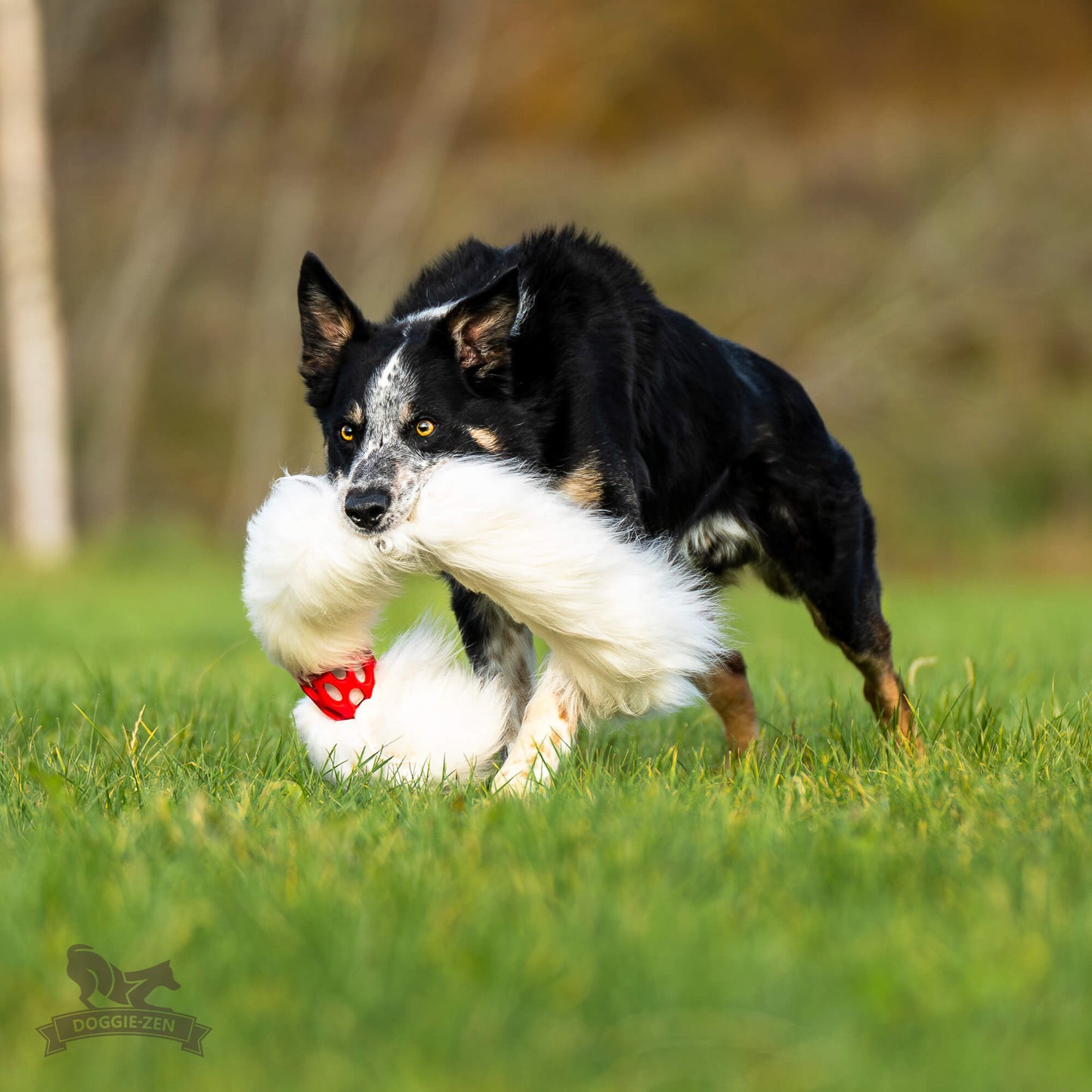 Doggie-Zen JW Kometjager med sauepels