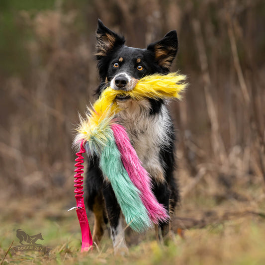 Doggie-Zen Blekksprut 3 tentakler