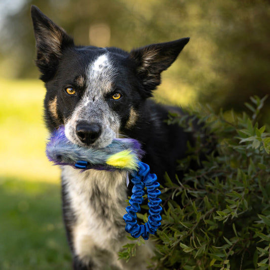 Doggie-Zen Den Lille Godbitposen