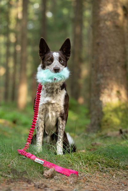 Doggie-Zen Belønningslomme med langt tau