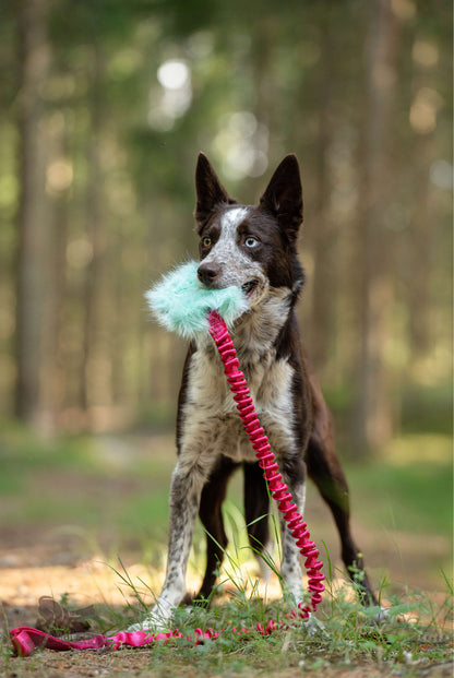 Doggie-Zen Belønningslomme med langt tau