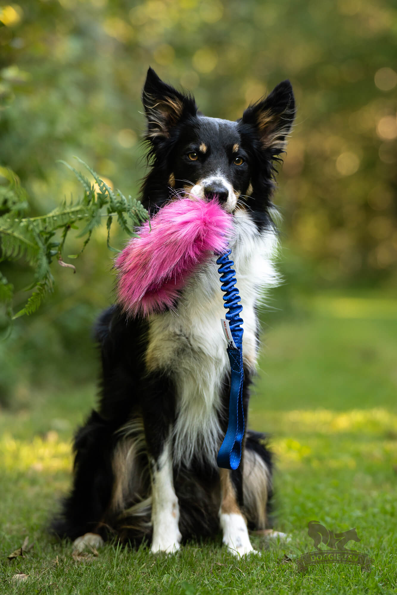 Doggie-Zen Godbitlomme