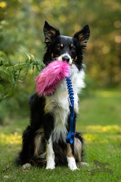 Doggie-Zen Godbitlomme