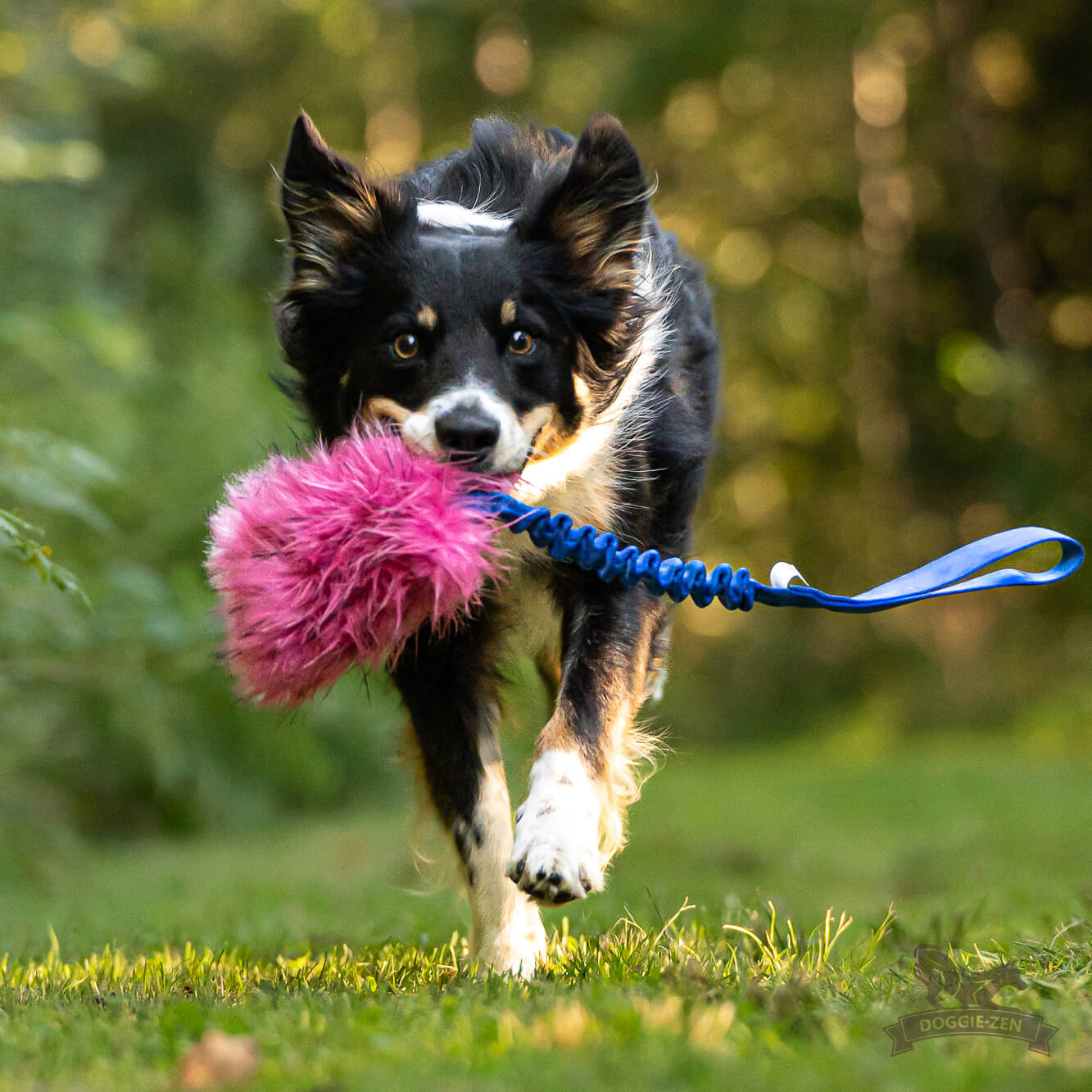 Doggie-Zen Godbitlomme
